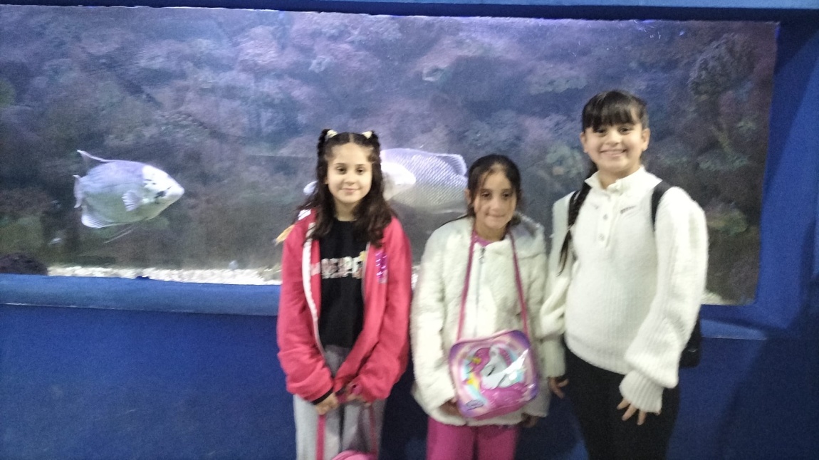 3B, 3C VE 3G sınıflarımız Tarsus Doğa Parkını ziyaret ettiler.